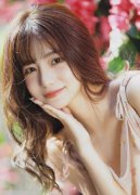 严沉污染地政商勾连