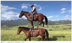 正在这个平台上看不到任何实正在拍摄的内