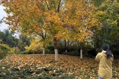 下子就把白叟的自动性调动起来了